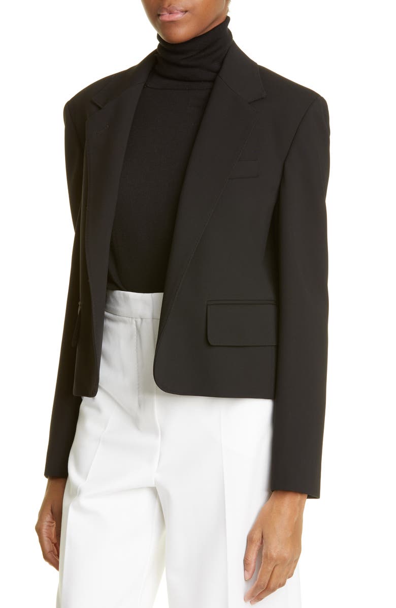 Max Mara Oreste Crop Jersey Jacket, Alternate, color,