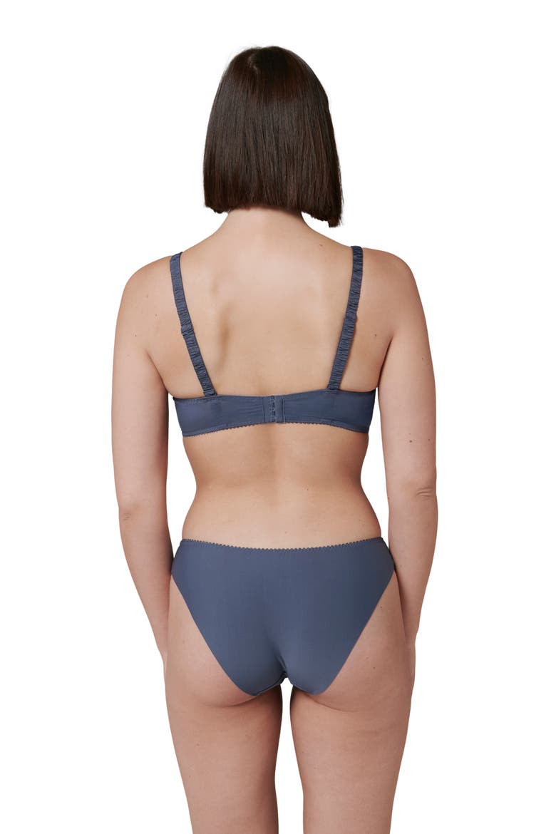 Intrigue Embroidered Bikini, Alternate, color, CINDER BLUE