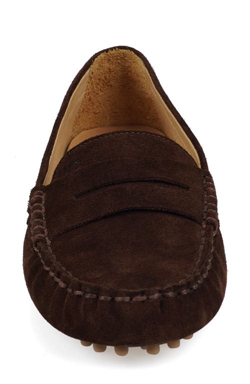National Comfort Talulah Penny Loafer In Brown