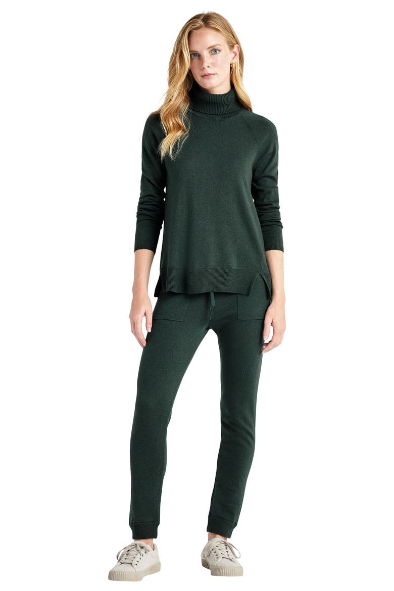 Elin Turtleneck Sweater, Alternate, color, BALSAM