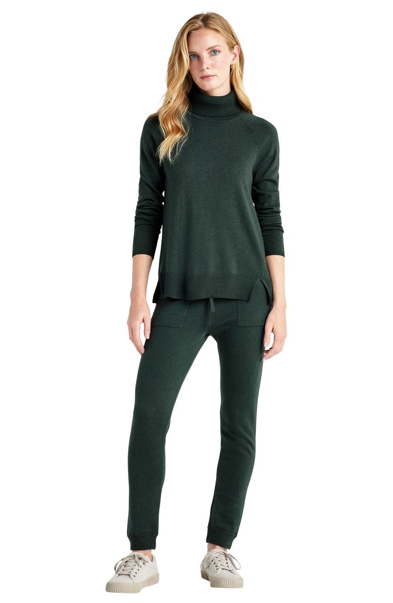 Splendid Elin Turtleneck Sweater, Alternate, color, Balsam