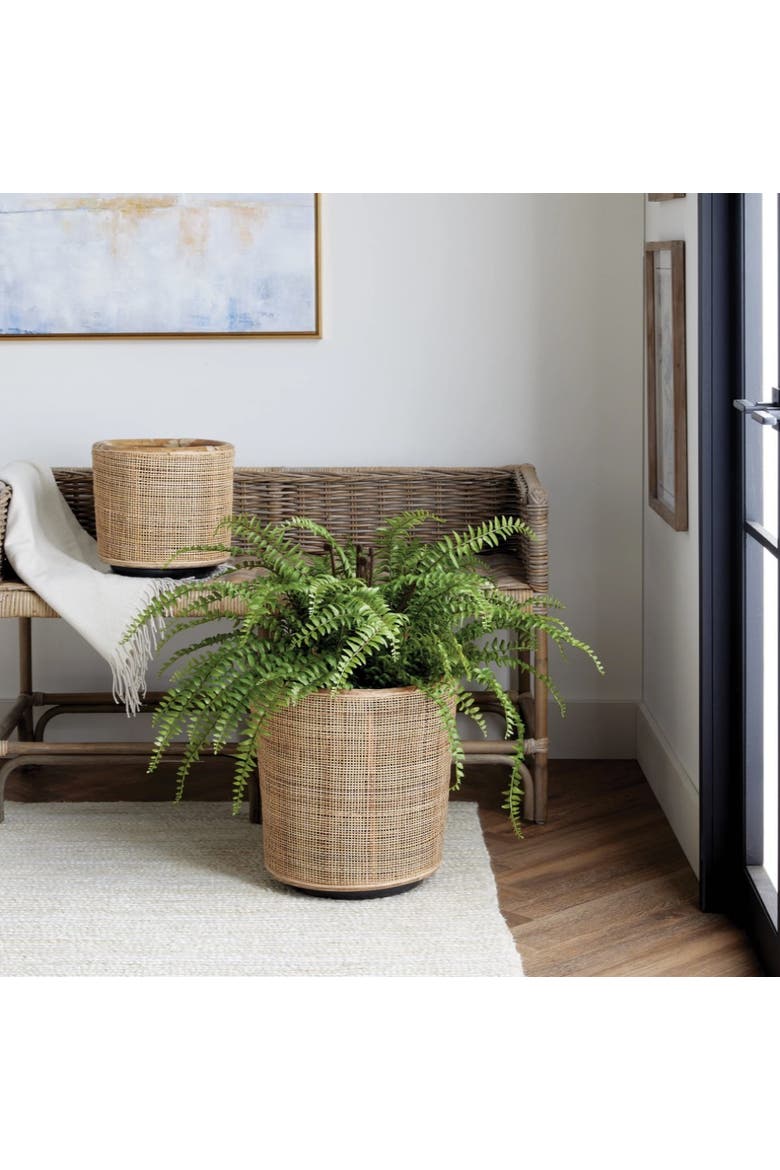 Lyla Dry Basket Planters, Set of 2, Alternate, color, Beige