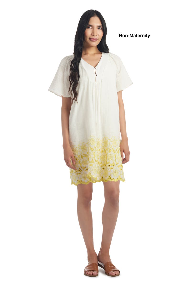 Everly Grey Paula Maternity/Nursing Shift Dress, Alternate, color, 