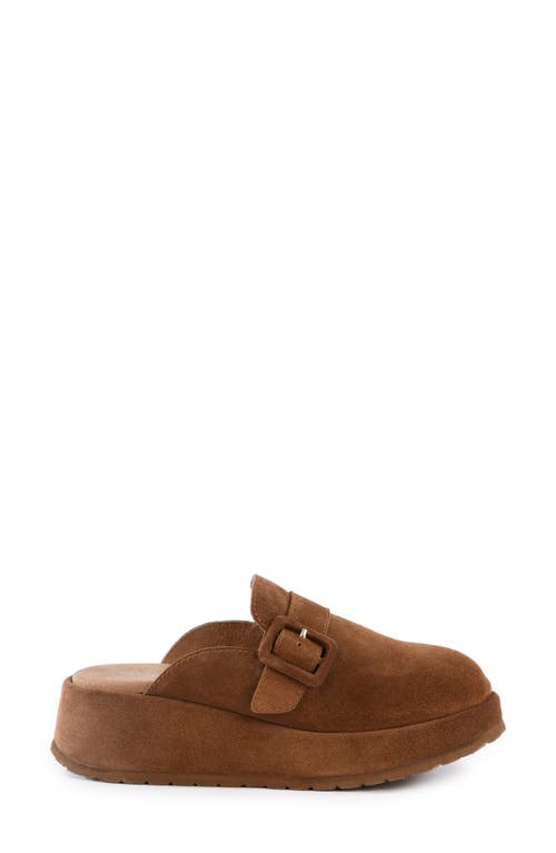 Seychelles Come Together Ii Platform Clog In Brown