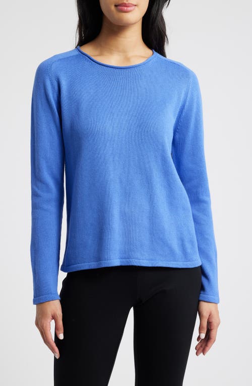 Eileen Fisher Raglan Sleeve Organic Cotton Blend Sweater in Blue Star 