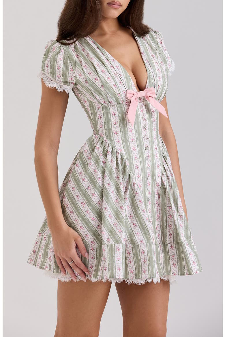 Emiliana Floral Print Minidress, Alternate, color, ROSE STRIPE FLORAL GREEN