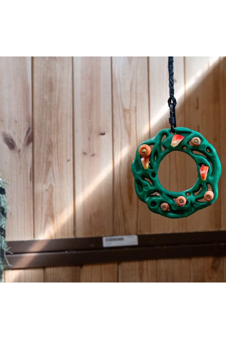 Luna Ring, Horse Equine, 9 Inchs Green, Rubber Treat Puzzle Toy, Alternate, color, Green