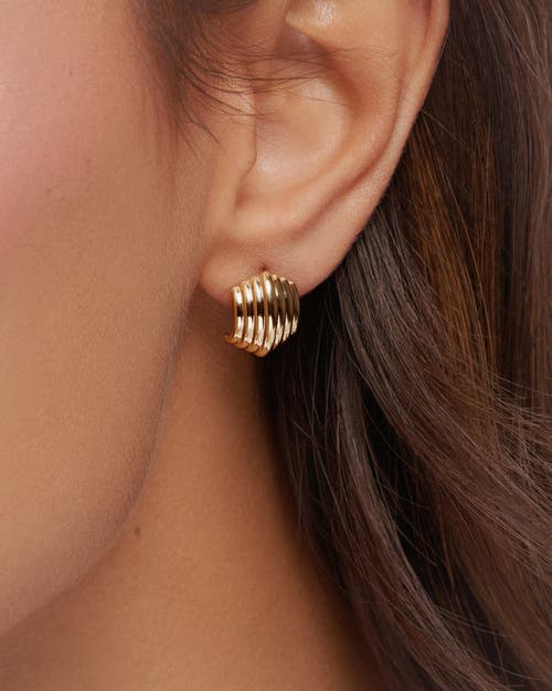 Zarux Golden Aura Earrings In Gold