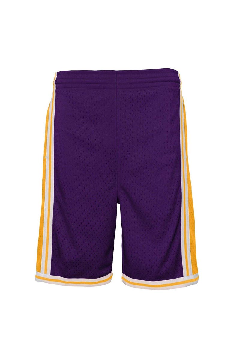 Mitchell & Ness Youth Mitchell & Ness Purple Los Angeles Lakers Hardwood Classics Swingman Shorts, Alternate, color, Purple