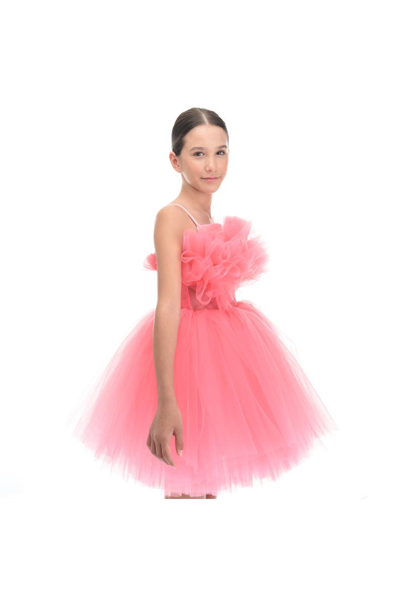 Tulleen Scalleta Dress, Alternate, color, Pink