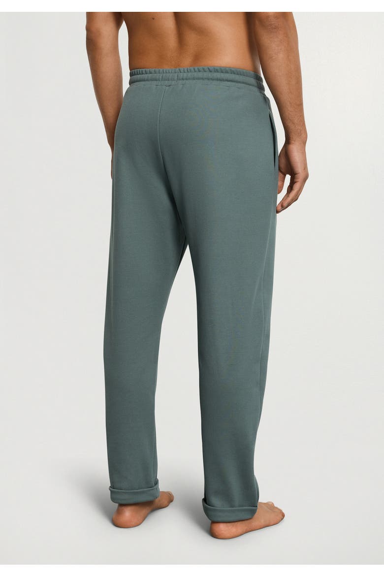 Travelwear Cotton Pants, Alternate, color, Studio Green