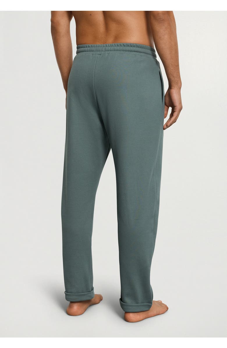 Hanro Travelwear Cotton Pants, Alternate, color, Studio Green