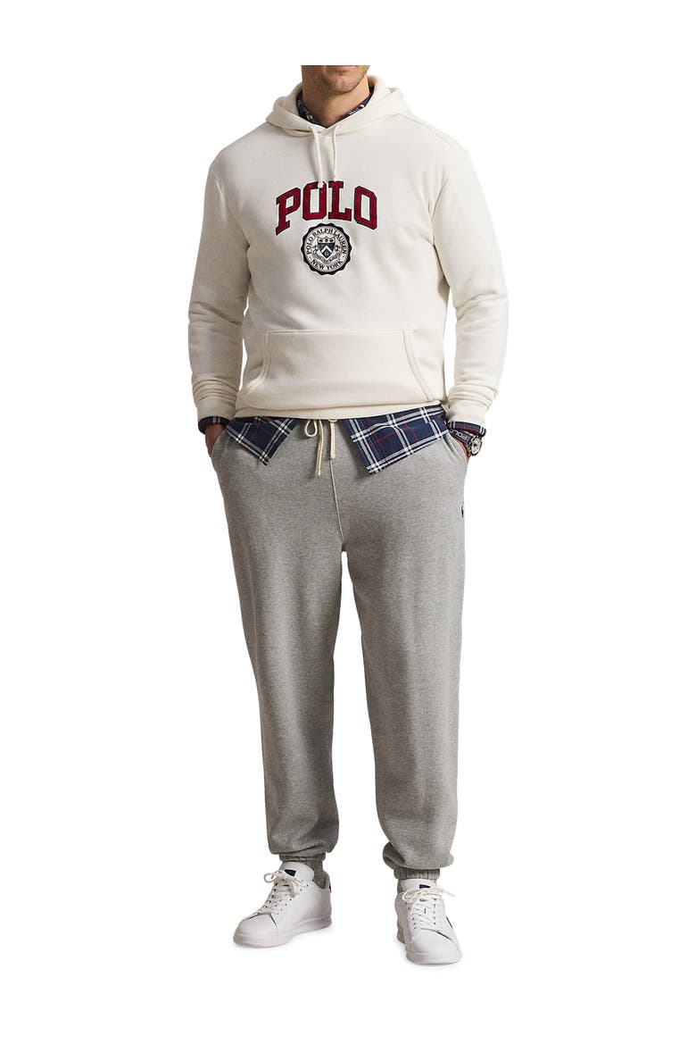 Big & Tall Varsity Pullover Hoodie, Alternate, color, NEVIS