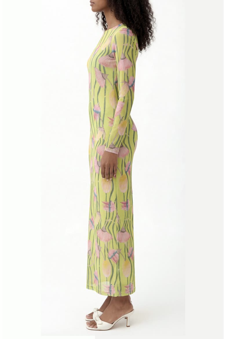 Nellas Paisley Long Sleeve Mesh Maxi Dress, Alternate, color, AUSSIE DESERT FLOWERS