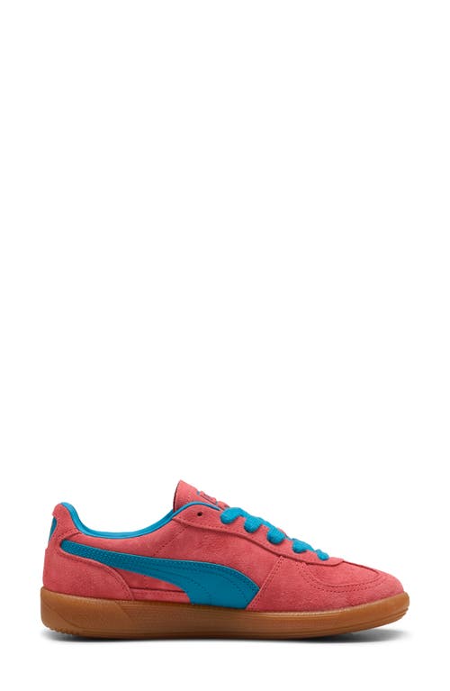 Puma Palermo Sneaker In Peach Frost-tropical Blue