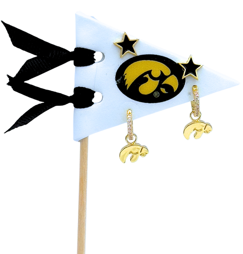University Of Iowa Pennant Pair Earring Set
