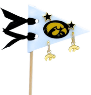 Color Shout University Of Iowa Pennant Pair Earring Set