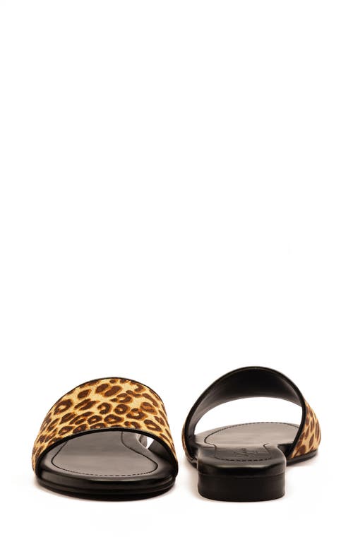 Off The Hook London Strand Leopard Genuine Calf Hair Sandal In Animal Print