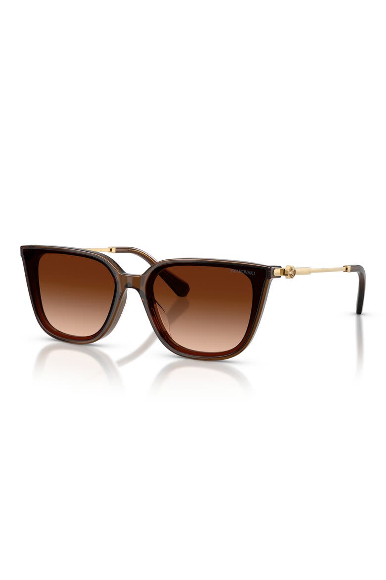 63mm Oversize Square Sunglasses, Alternate, color, TRANSPARENT BROWN / BROWN