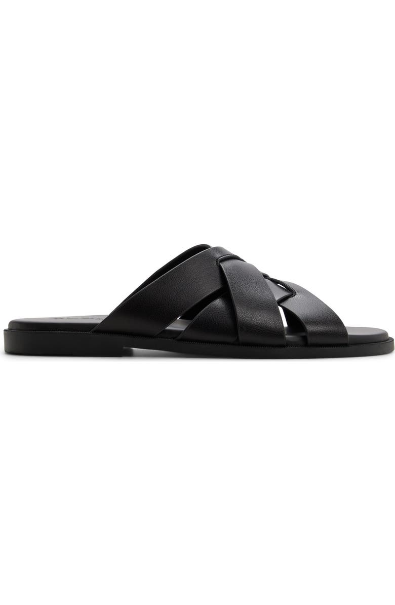 ALDO Birchill Slide Sandal, Alternate, color, Black