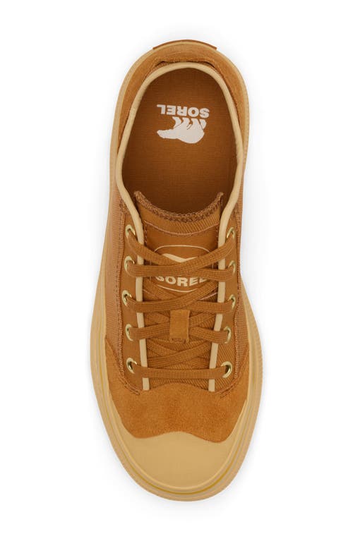 SOREL SOREL SCOUT N ABOUT™ LOW SNEAKER