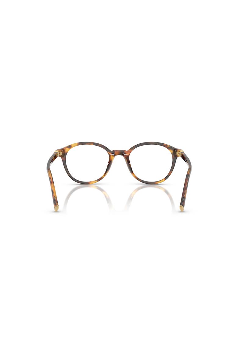 50mm Round optical glasses, Alternate, color, Tortoise