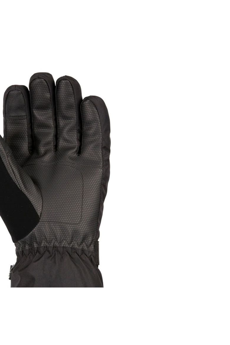 Gender Inclusive Lindley Dlx Ski Gloves, Alternate, color, Black