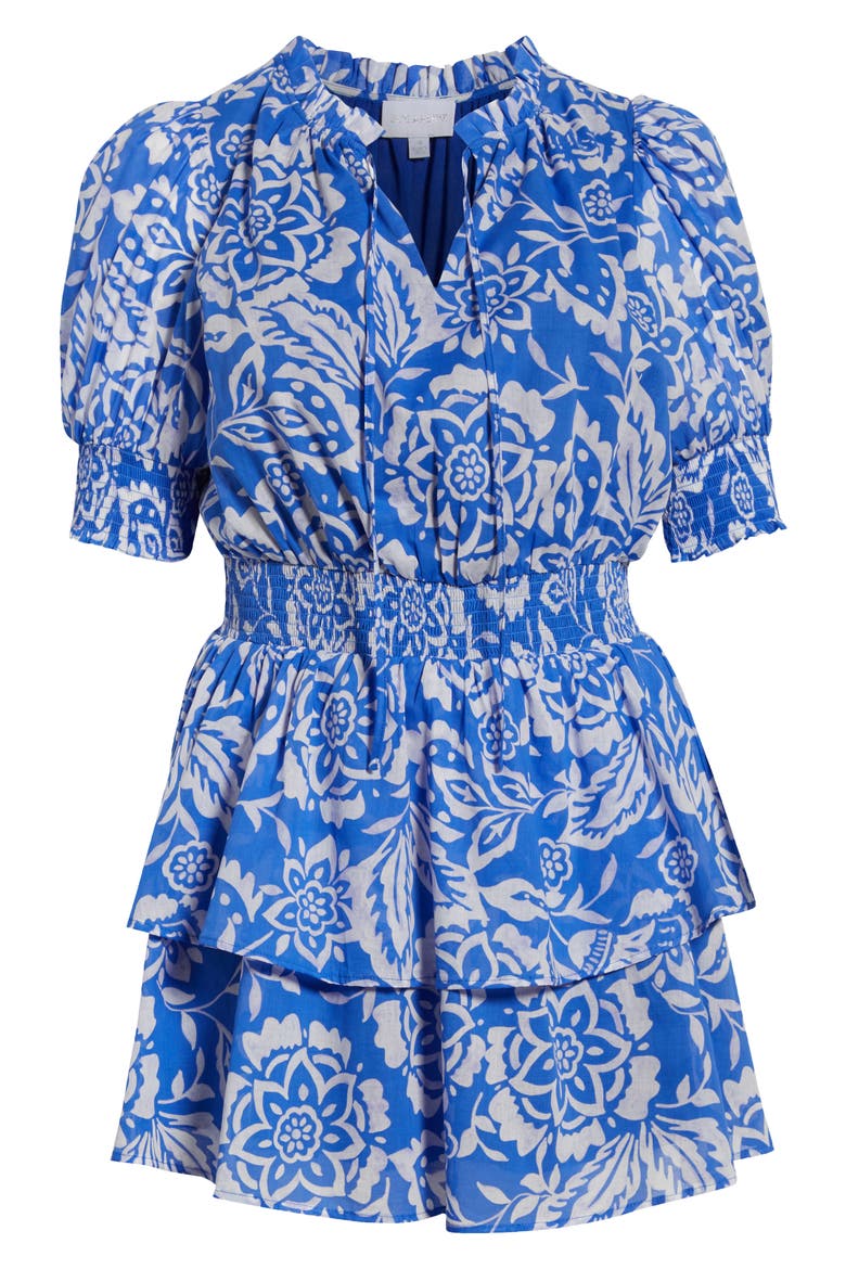 Marny Floral Rai Ruffle Cotton Dress, Alternate, color, BLUE/ WHITE