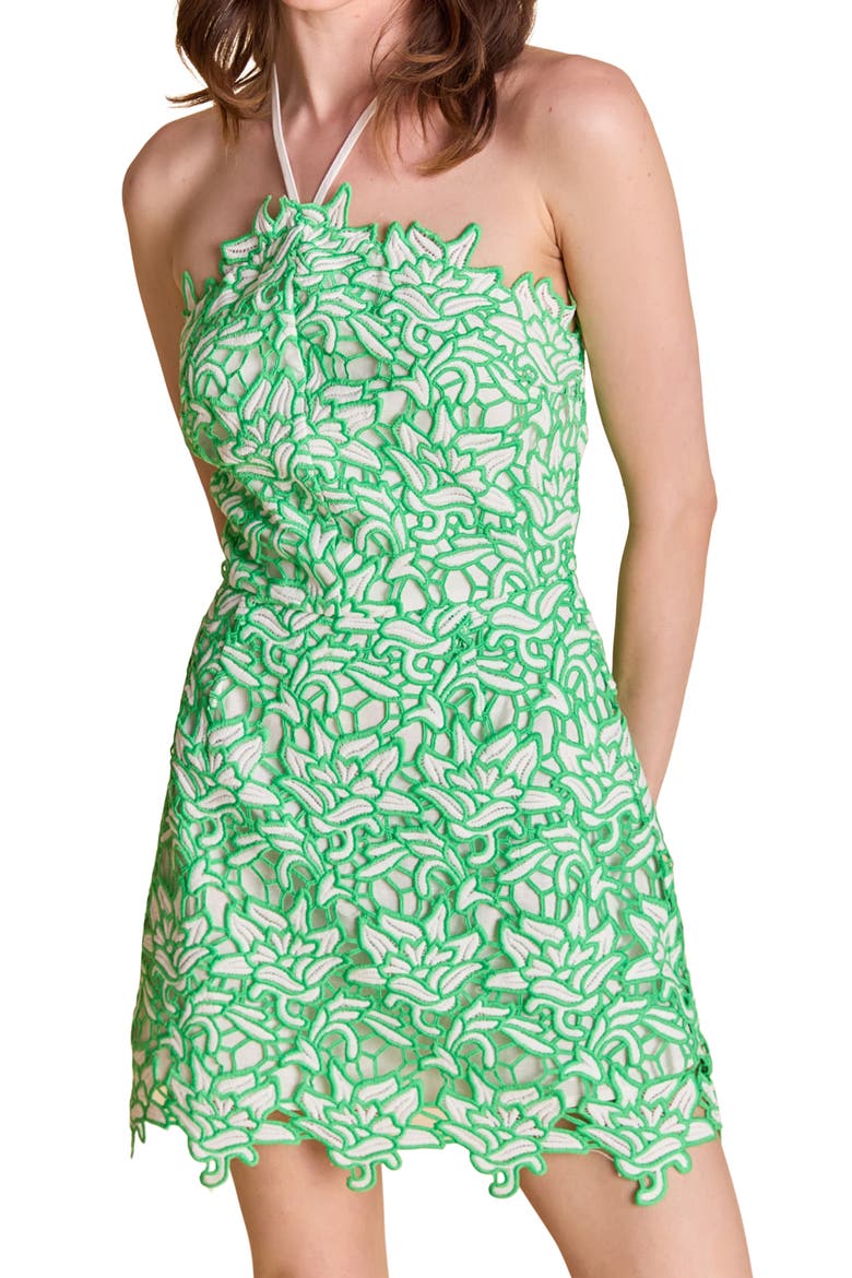 Halter Neck Guipure Lace Minidress, Alternate, color, WHITE/ GREEN