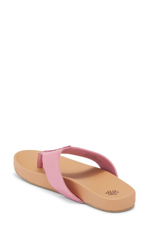 The Sak Everly Sandal In Purple
