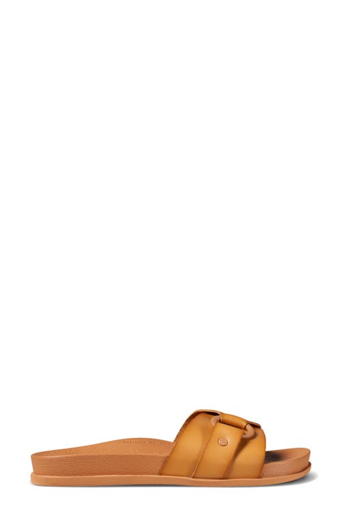 Reef Cushion Soho Cruz Slide Sandal In Natural