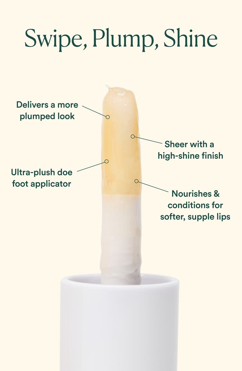 Hyaluronic Acid Lip Booster