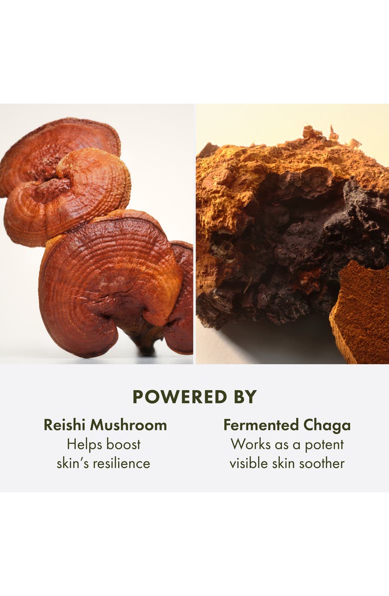 Origins Dr. Weil for Origins<sup>™</sup> Mega-Mushroom Relief & Resilience Soothing Treatment Lotion, Alternate, color,