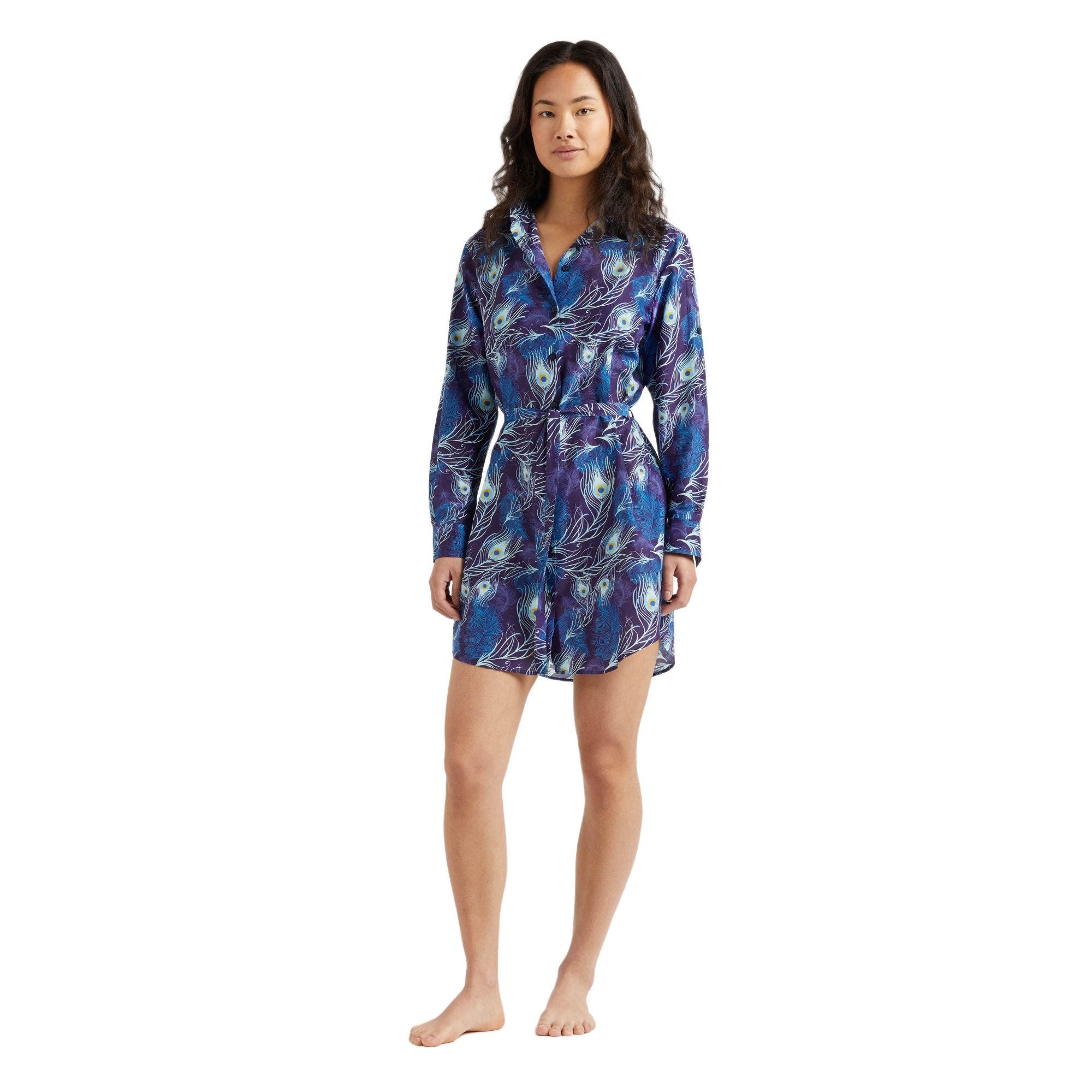 Vilebrequin Eyes Of The Wind Cotton-silk Shirtdress In Blue