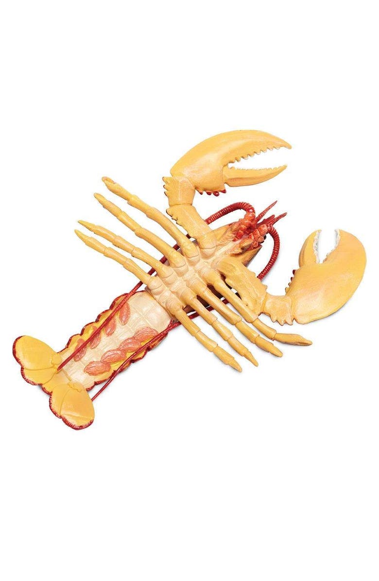 Safari Ltd. Maine Lobster Toy, Alternate, color, NO COLOR