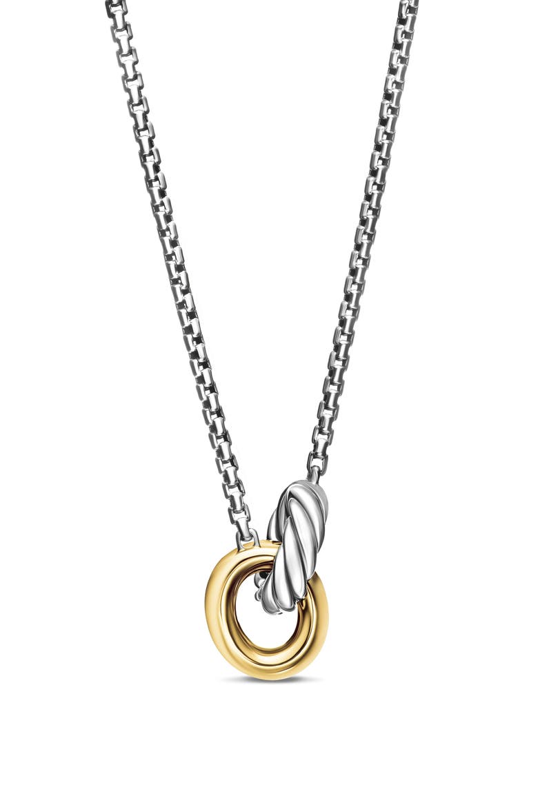 Petite Cable Linked Hoop Necklace video
