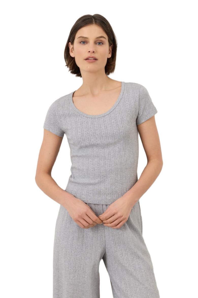 Organic Cotton Pointelle Scoop Neck Tee, Alternate, color, Heather Grey