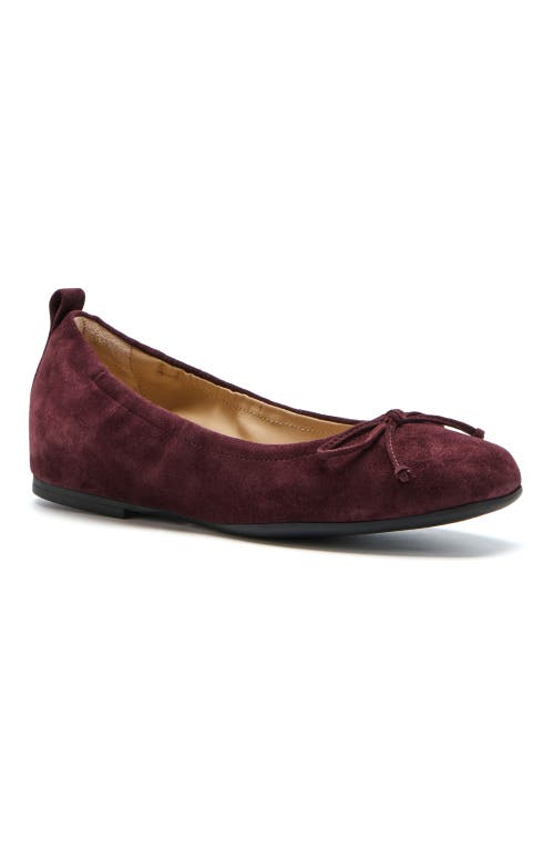 Abeo Cadence Bow Ballet Flat In Burgundy - Metatarsal