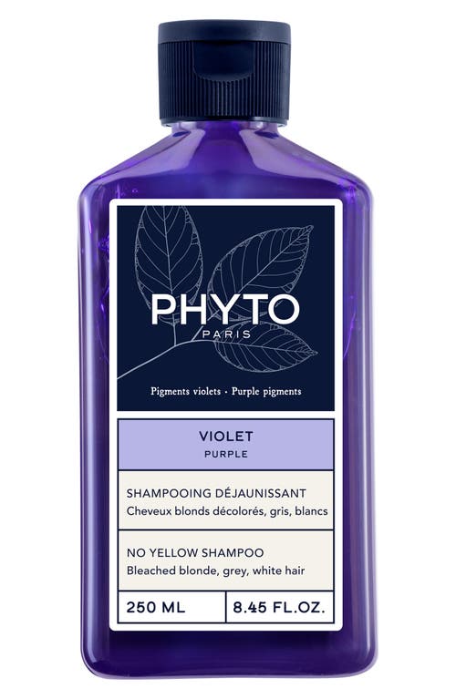 Phyto Purple No Yellow Shampoo In Transparent