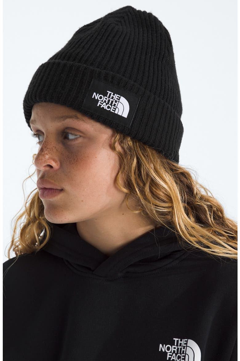 Kids' Salty Dog Beanie, Alternate, color, TNF BLACK