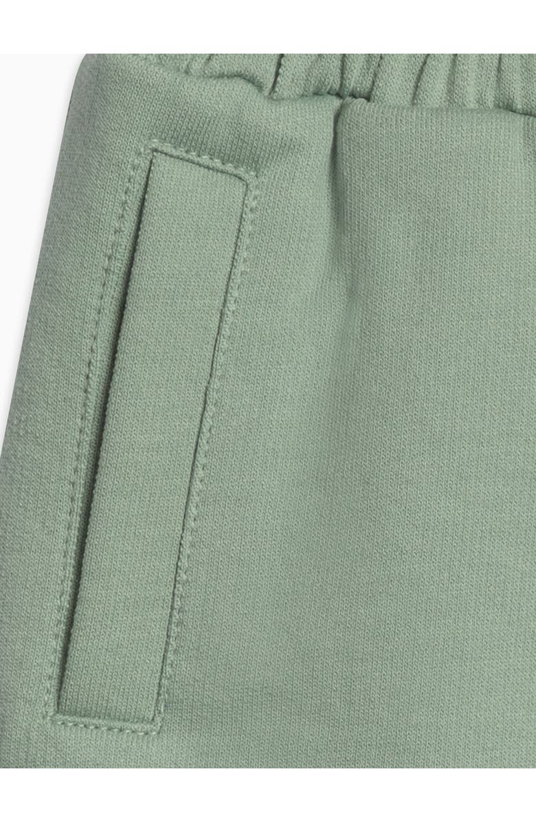 Colored Organics Chris Organic French Terry Shorts, Alternate, color, Jade