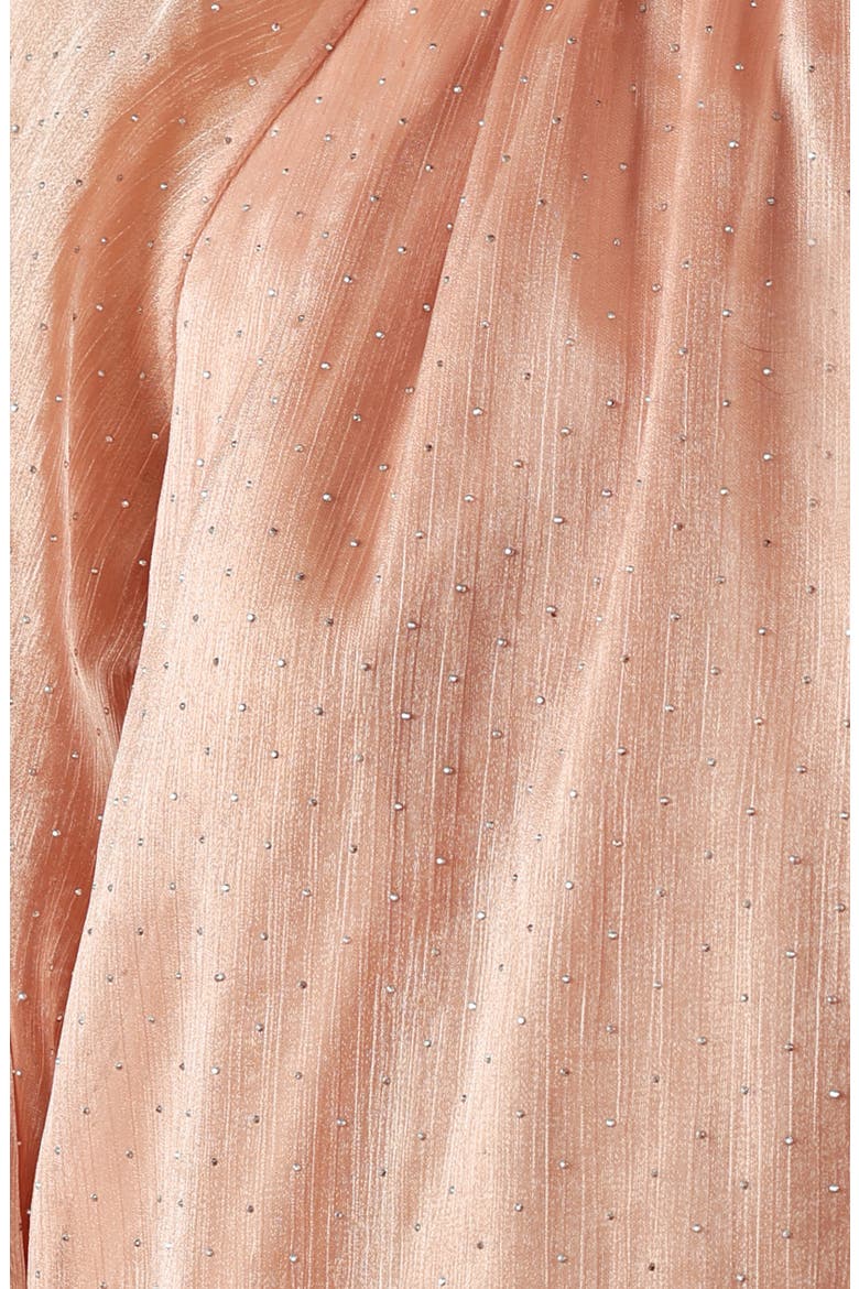 Embellished Long Sleeve Top, Alternate, color, ROSE