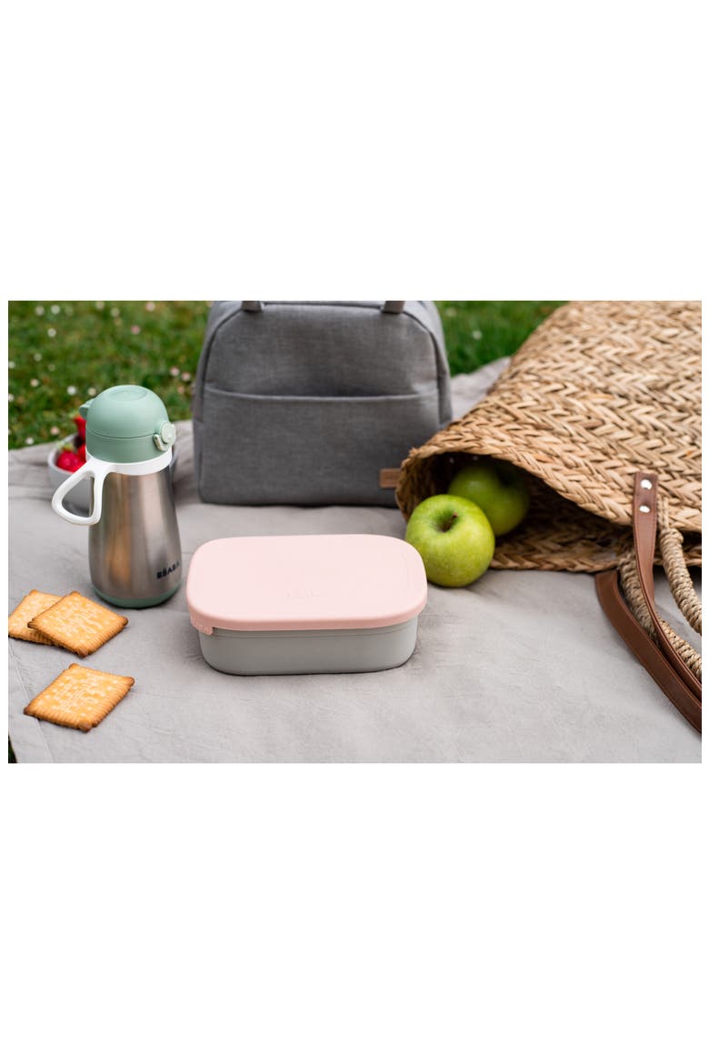 Stainless Steel Lunchbox with Lid, Alternate, color, ROSE