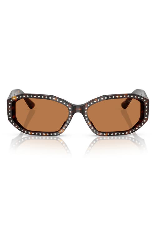 Jimmy Choo 56mm Oval Sunglasses In Brown