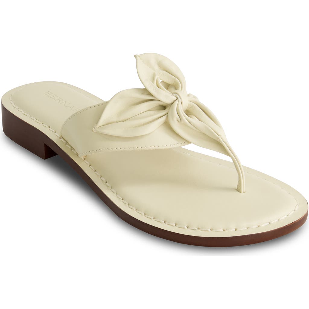 BERNARDO FOOTWEAR BERNARDO FOOTWEAR TAORMINA THONG SANDAL