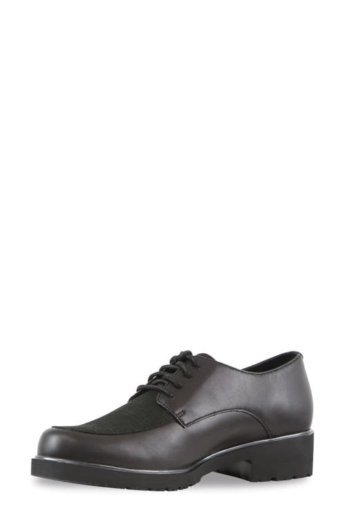 Munro Ronnie Water Resistant Lizard Embossed Derby