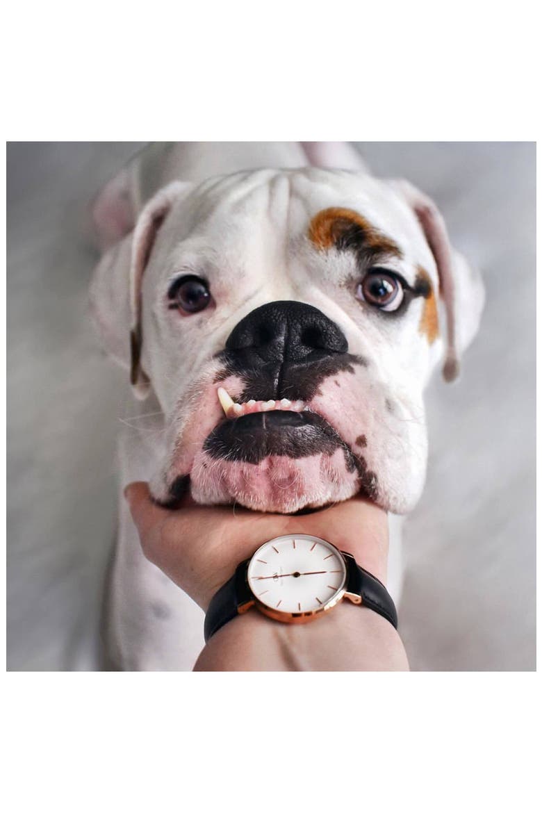 Classic Petite Leather Strap Watch, 28mm, Alternate, color, BLACK/ WHITE/ ROSE GOLD