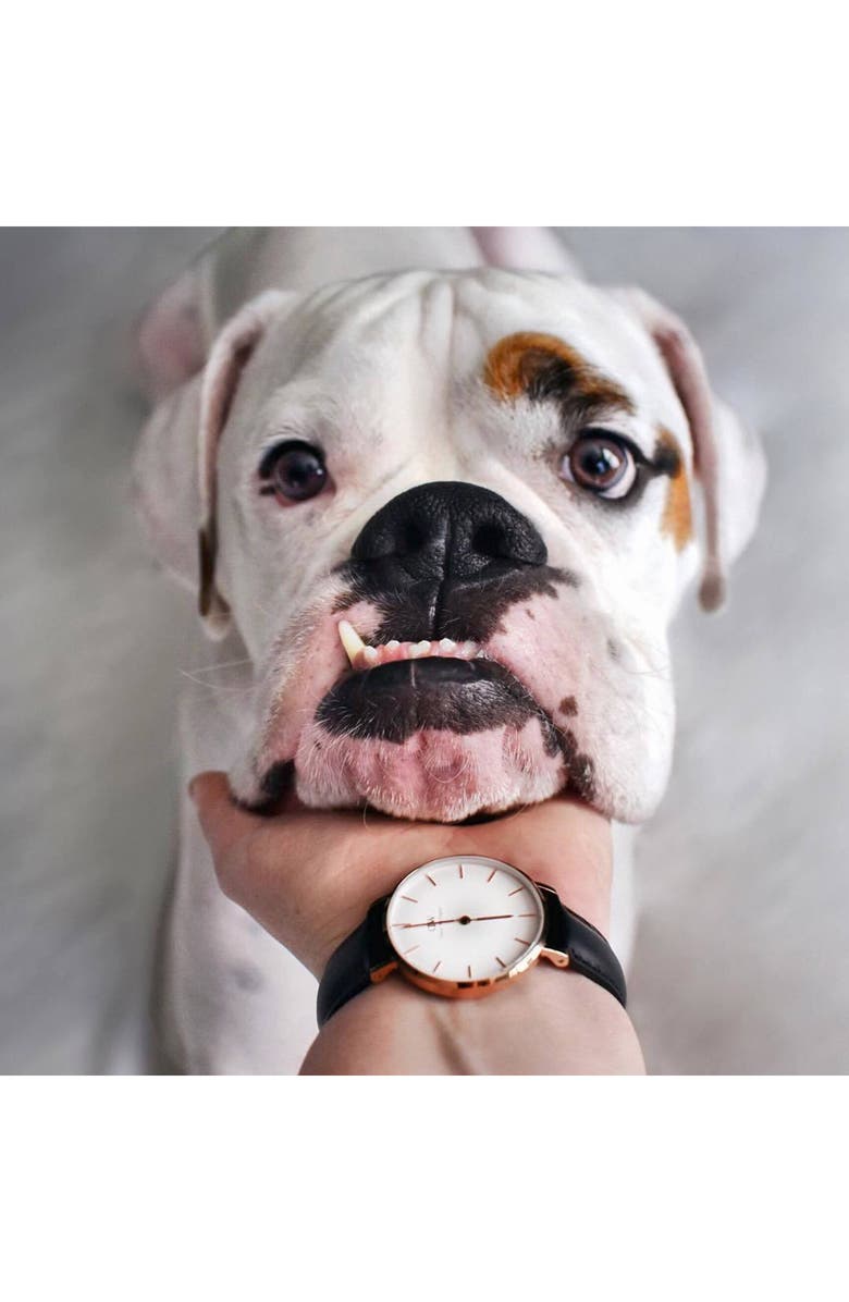 Daniel Wellington Classic Petite Leather Strap Watch, 28mm, Alternate, color, Black/ White/ Rose Gold