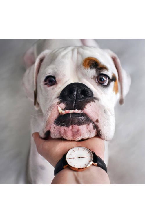 Daniel Wellington Classic Petite Leather Strap Watch, 28mm In Multi