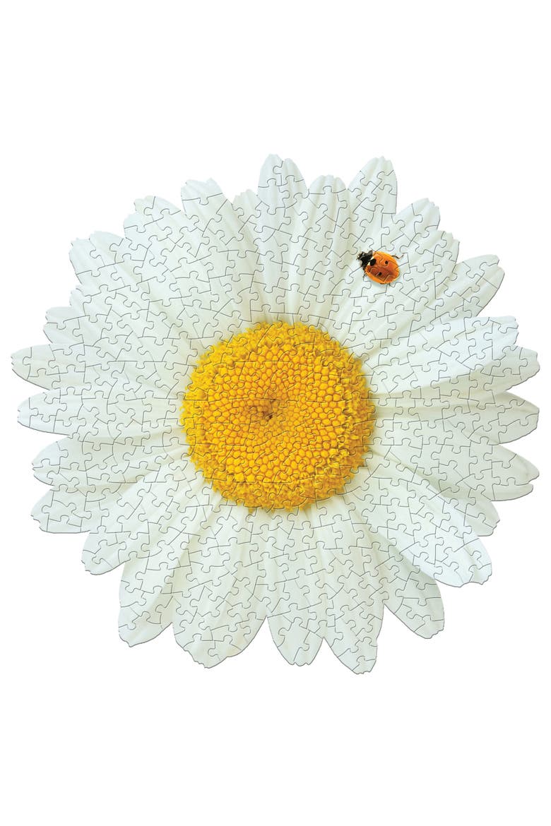 I Am Daisy 350 Piece Jigsaw Puzzle 23X23 Inch, Alternate, color, Multicolored